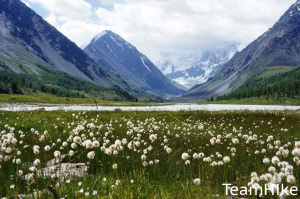 Туры на Алтай с Teamhike