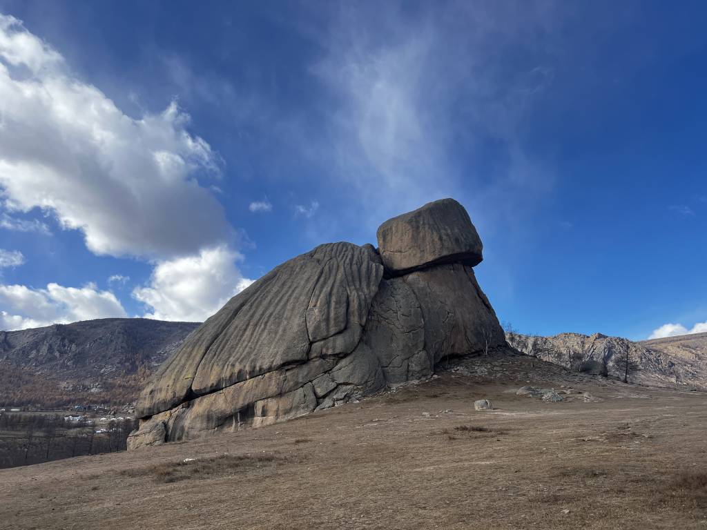 Черепаха Горхи Тэрэлж