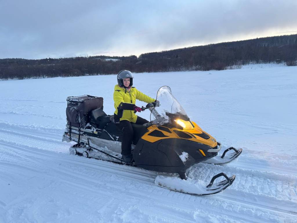 Снегоходы Teamhike