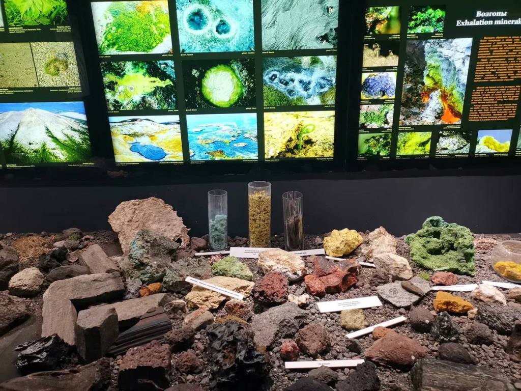 музей.jpg музей.jpg